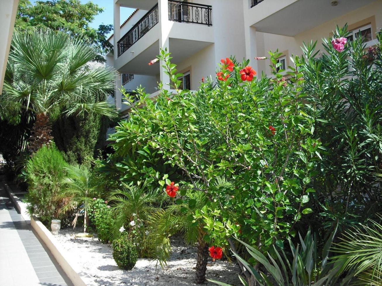 Summer Memories Aparthotel Πεύκος Εξωτερικό φωτογραφία